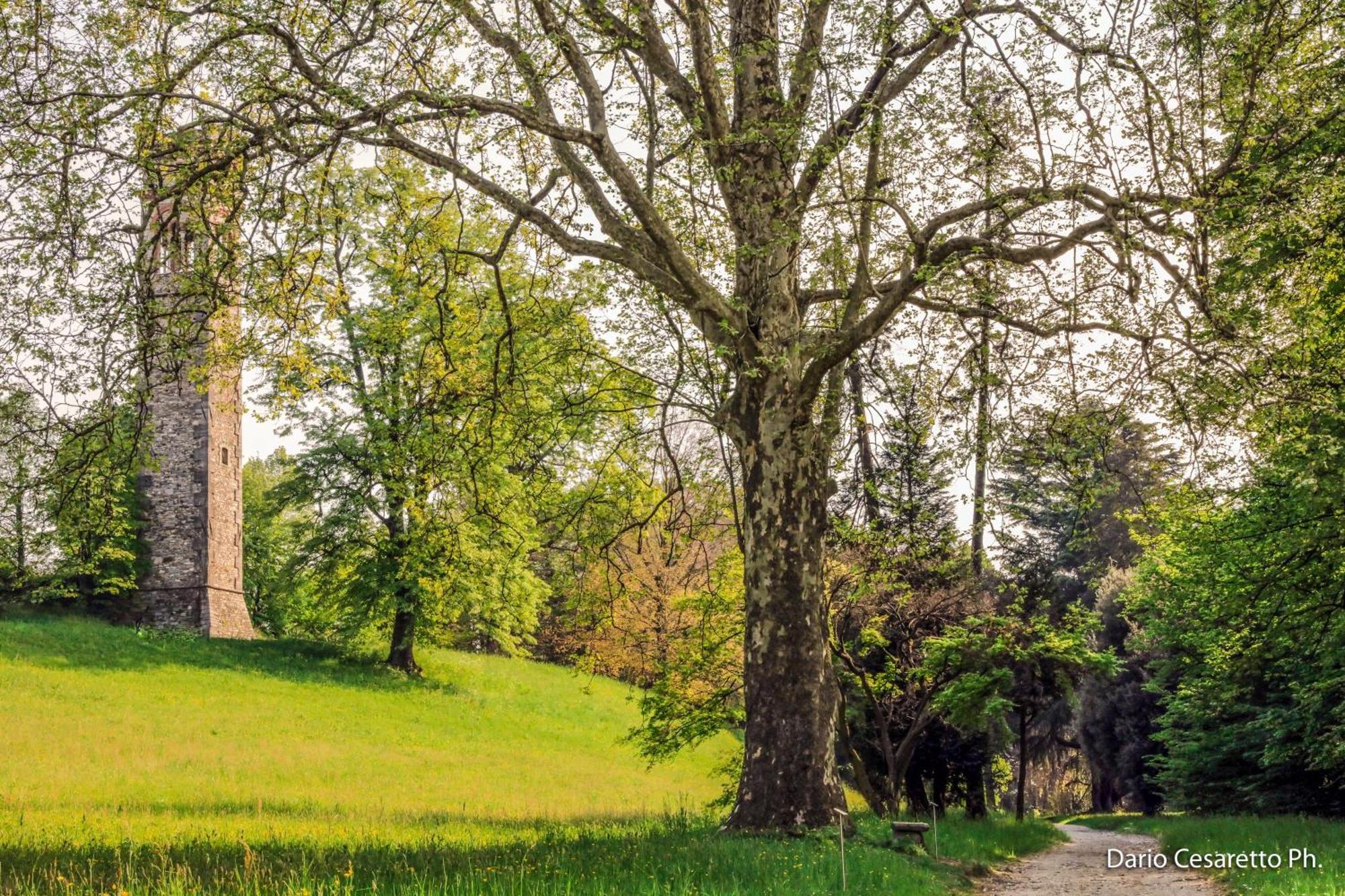 Villa Cagnola Schianno Екстер'єр фото